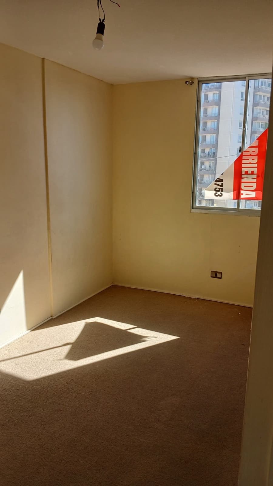 Departamento · Reñaca Alto 4