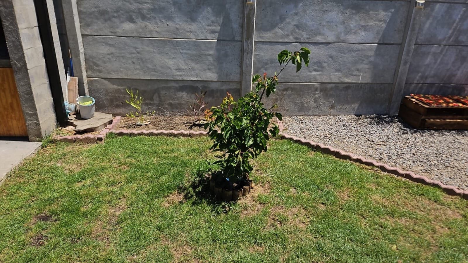 Dos Casas Independientes · Limache